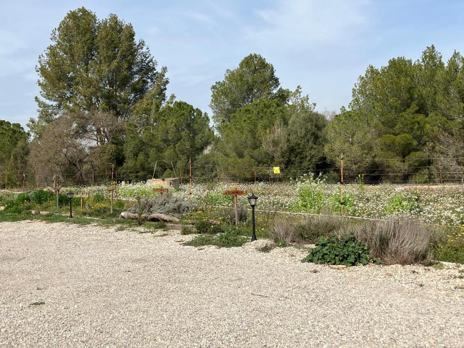 Apartment With Private Pool And Garden San Martín Sarroca 외부 사진