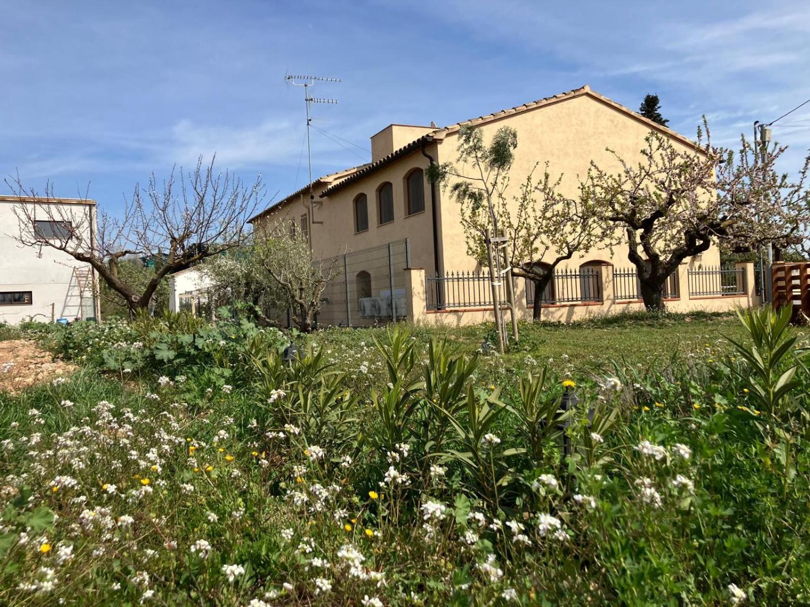 Apartment With Private Pool And Garden San Martín Sarroca 외부 사진